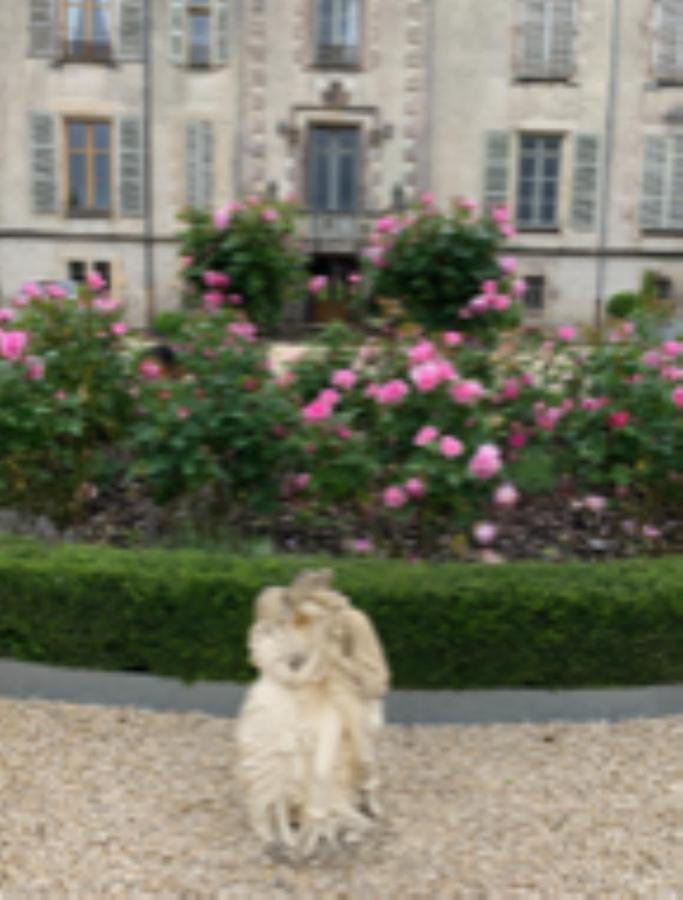 Chateau Pont Jarno B&B Champdeniers Esterno foto