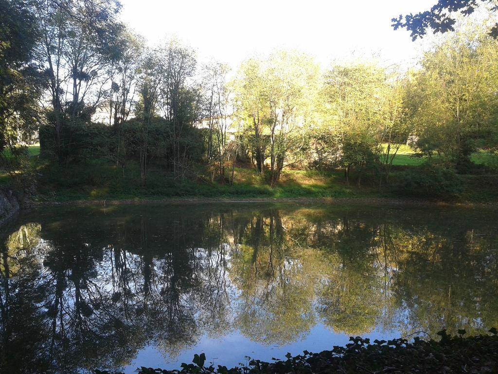 Chateau Pont Jarno B&B Champdeniers Esterno foto