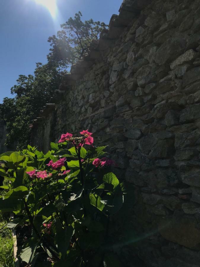 Chateau Pont Jarno B&B Champdeniers Esterno foto