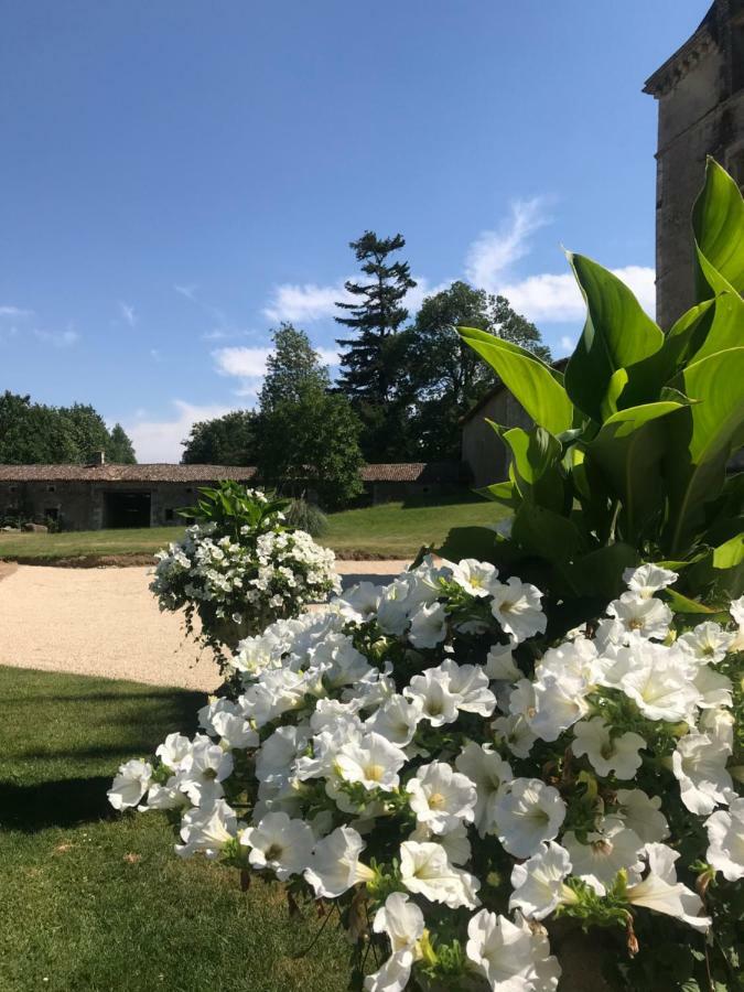 Chateau Pont Jarno B&B Champdeniers Esterno foto